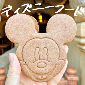 ディズニーフード_アイキャッチ_2022_0620