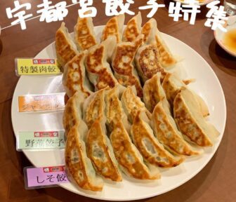 宇都宮餃子_アイキャッチ_2022_0707