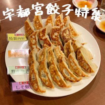 宇都宮餃子_アイキャッチ_2022_0707