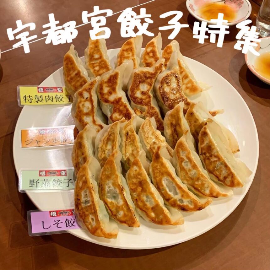 宇都宮餃子_アイキャッチ_2022_0707