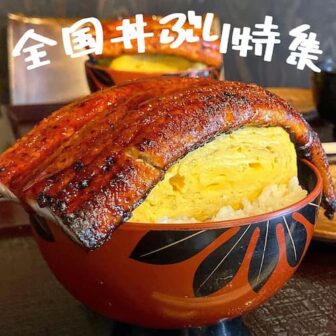 全国丼ぶり記事のアイキャッチ画像