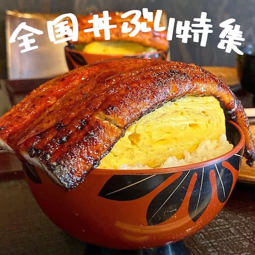 全国丼ぶり記事のアイキャッチ画像