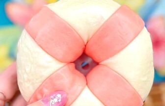 tokyodisneysea-recommended-food-eatingaround