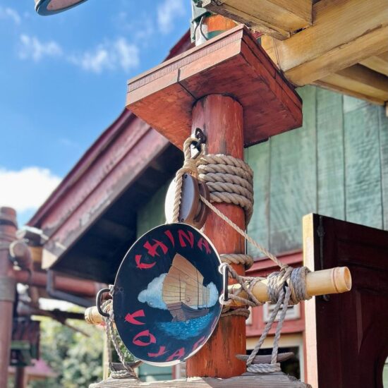 disneyland-chinavoyager