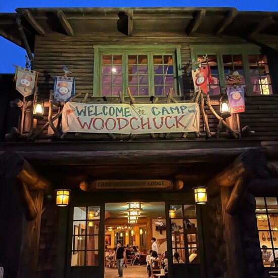 disneylandCampWoodchuckKitchen