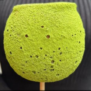 candy-apple-ujimacha