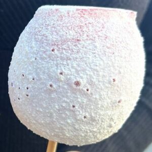 candy-apple-yougourt-chocolate