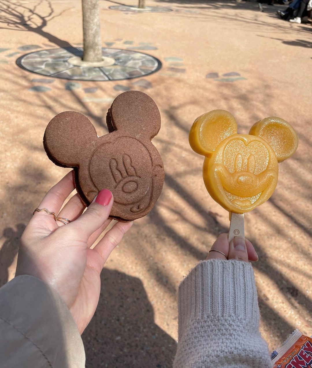 fantasyland-foresttheater